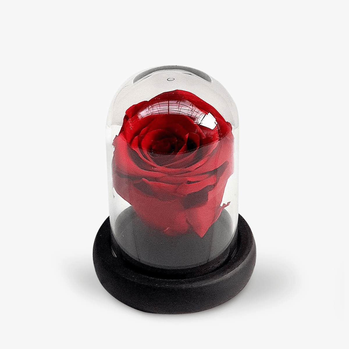 Trandafir criogerat rosu in mini cupola - Standard